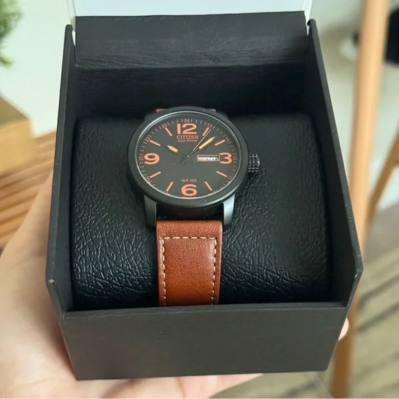 Citizen Men's Black and Brown Watch